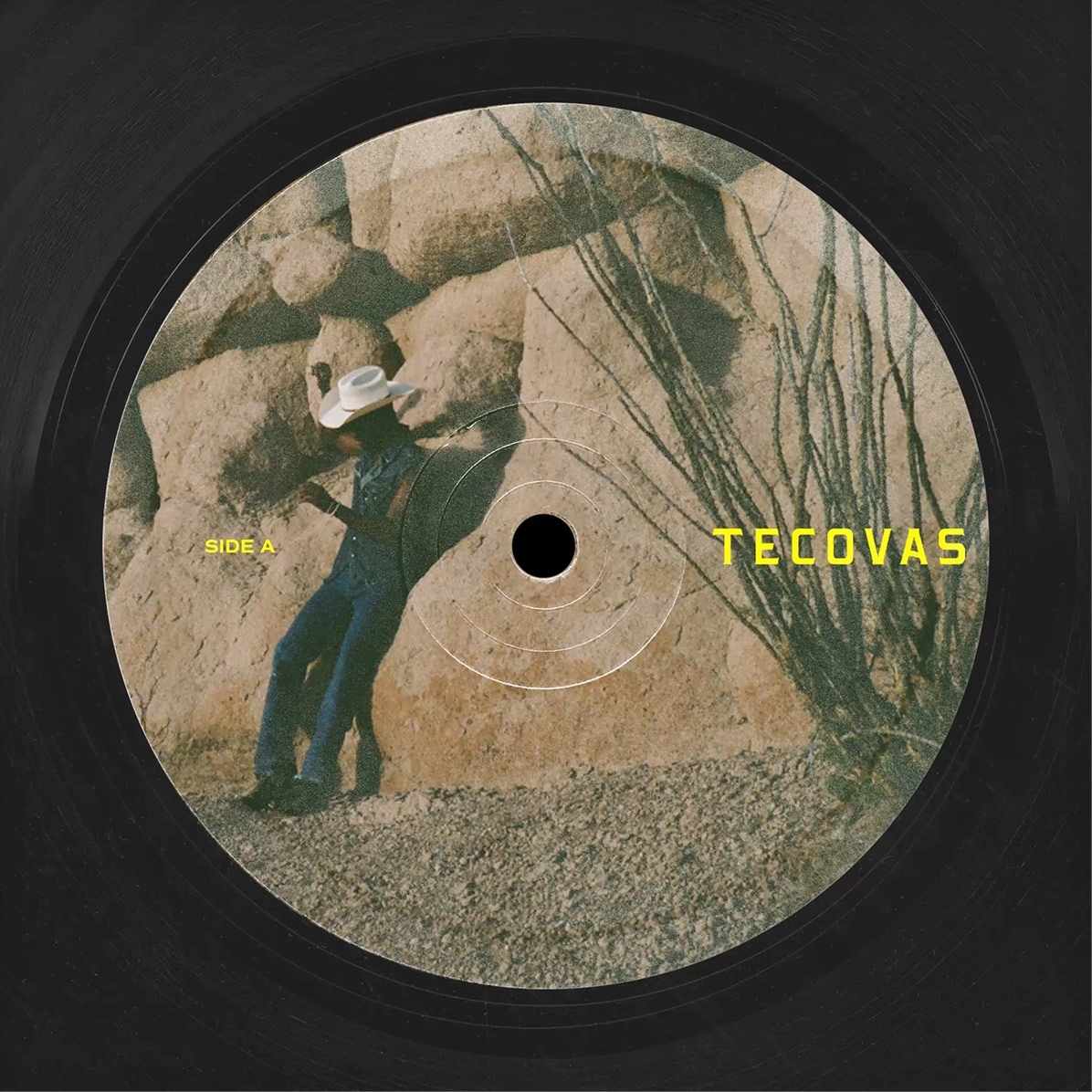 Listen to our Spring Playlist