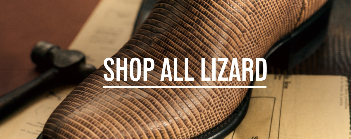 Shop All Lizard