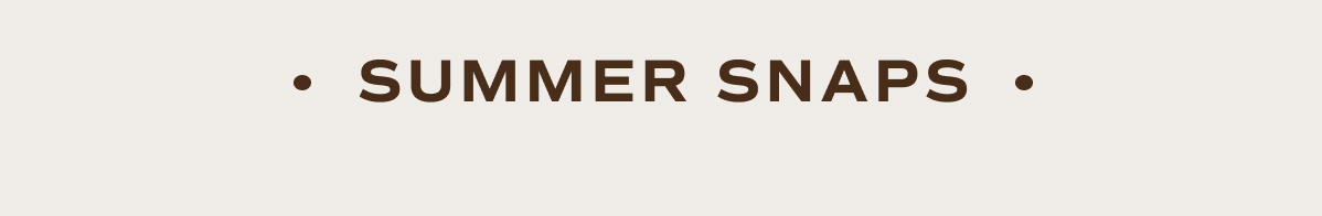 Shop Summer Snaps 