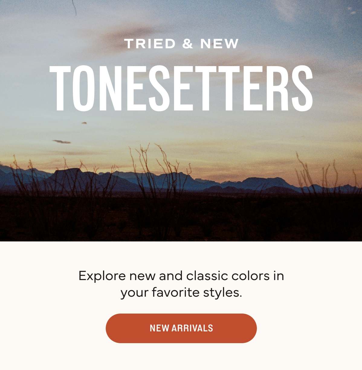 Explore New Arrivals 