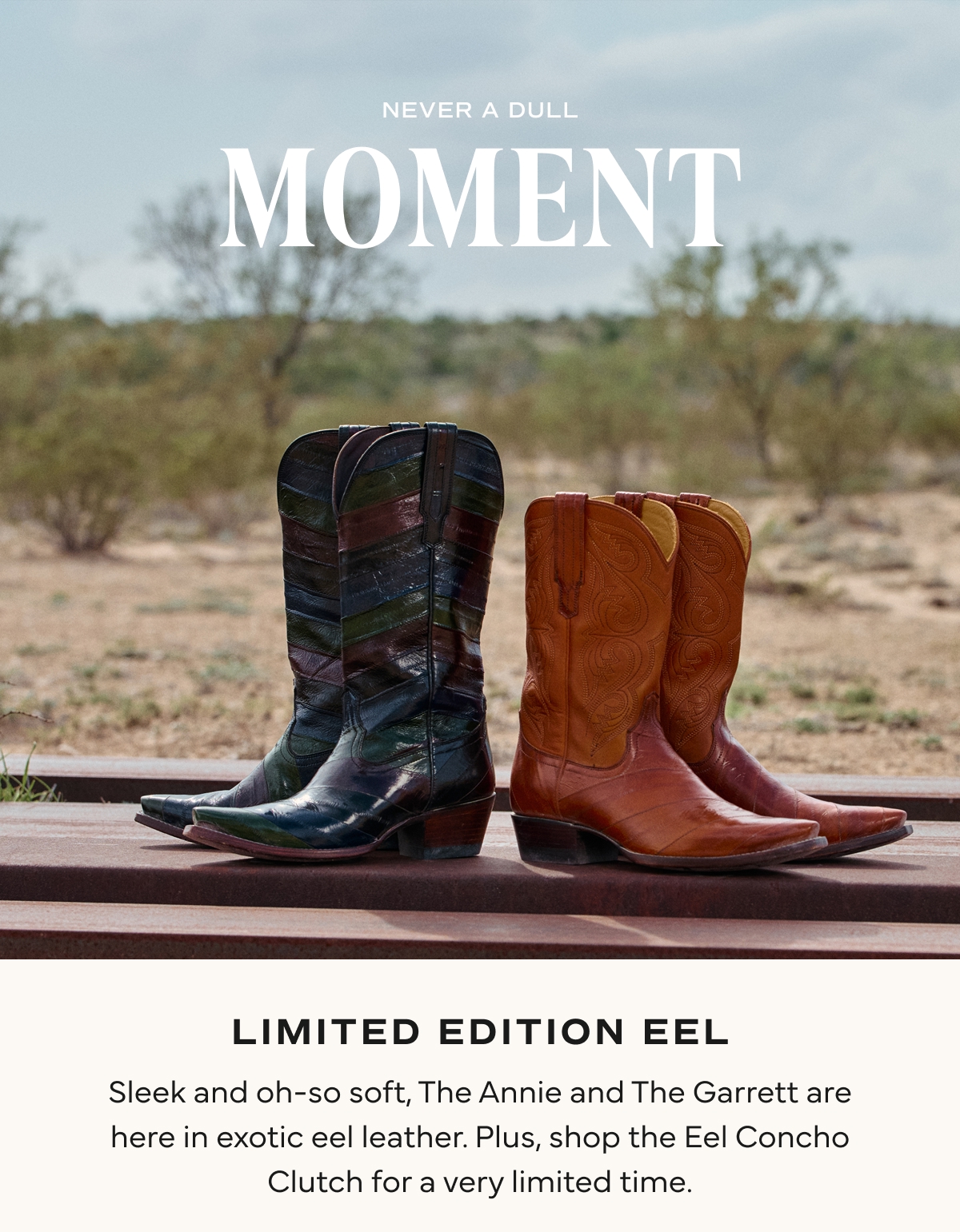 Shop Eel