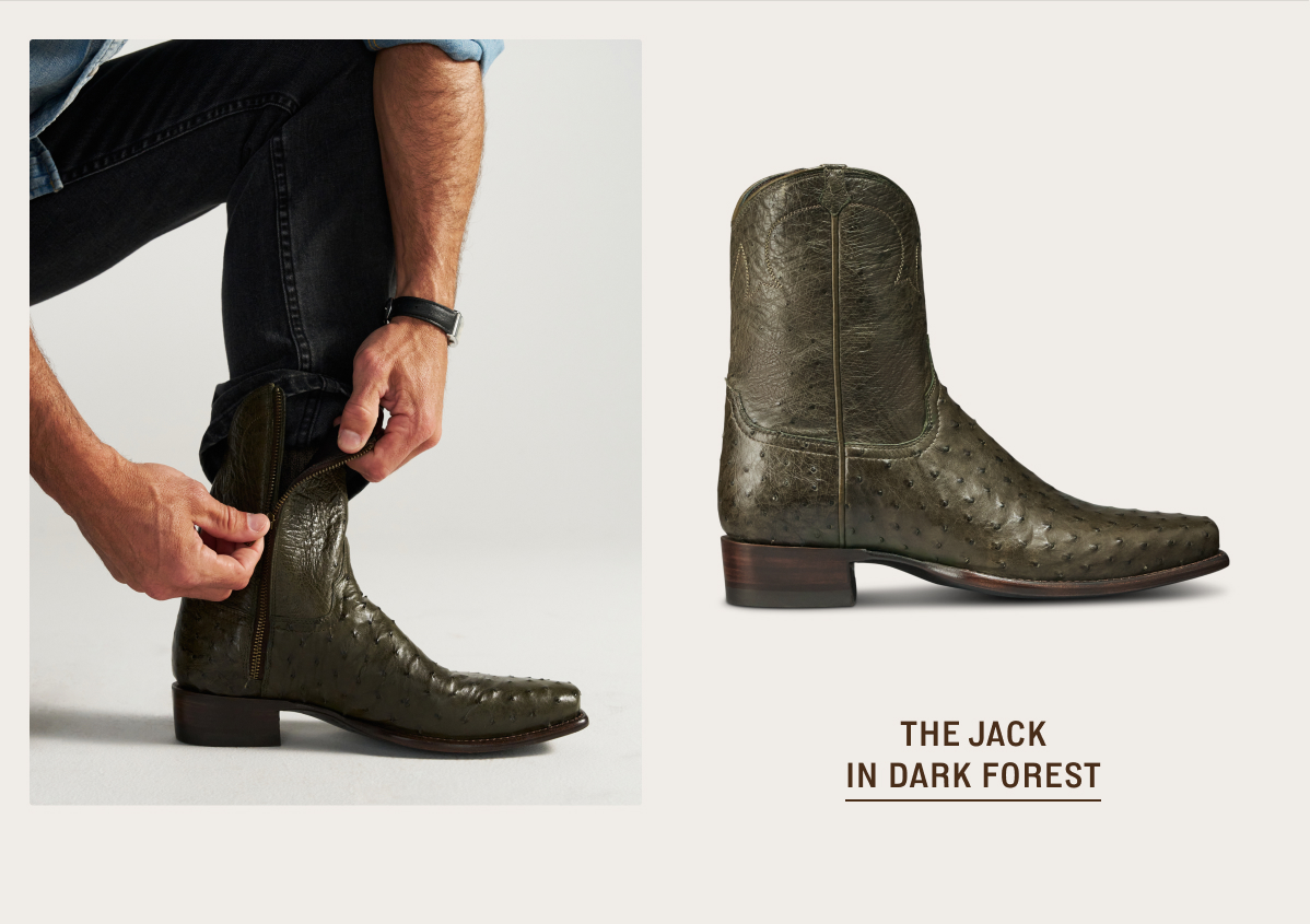 Shop Now: The Jack in Dark Forest 