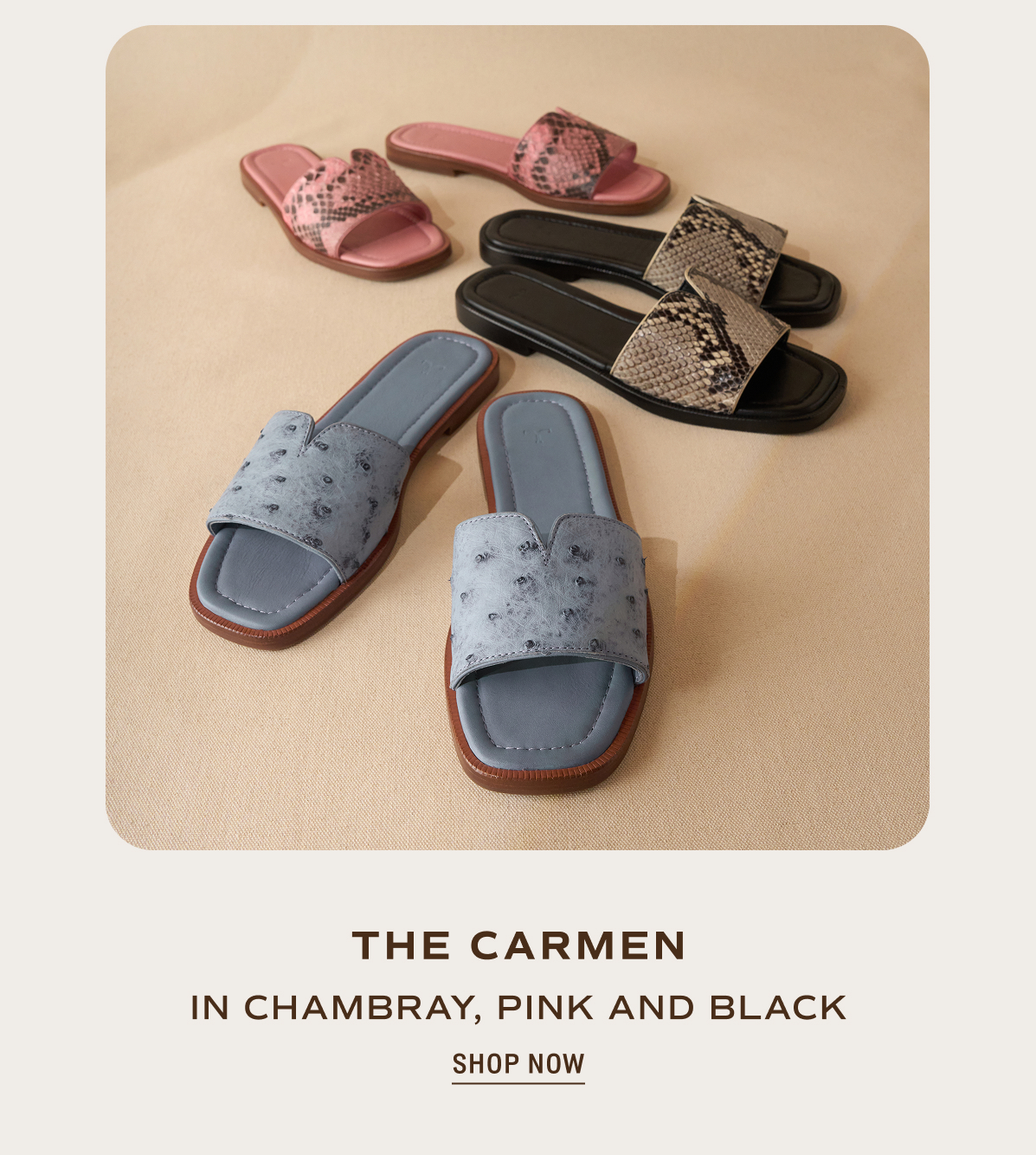 Shop the Carmen 