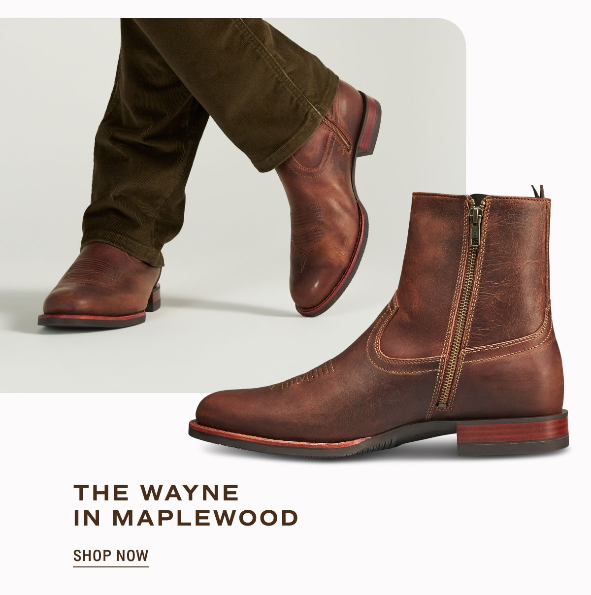 Shop Now: The Wayne in Maplewood 
