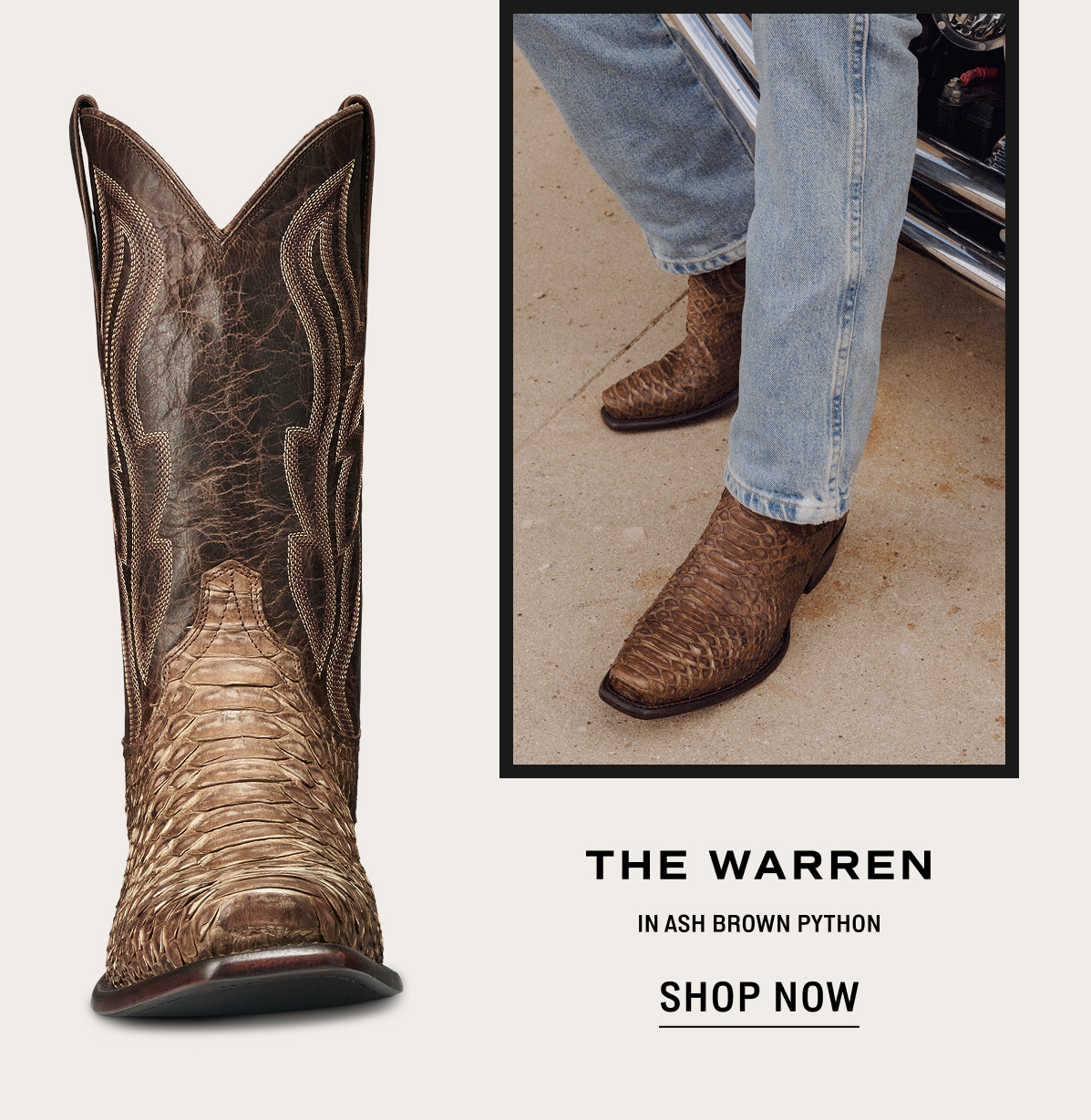 The Warren in Ash Brown Python 