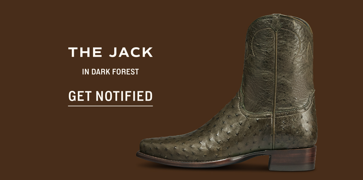 Get Notified: The Jack in Dark Forest 