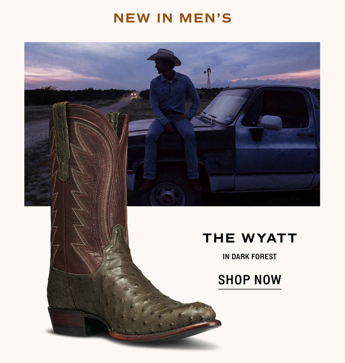 Shop Now: The Wyatt in Dark Forest 