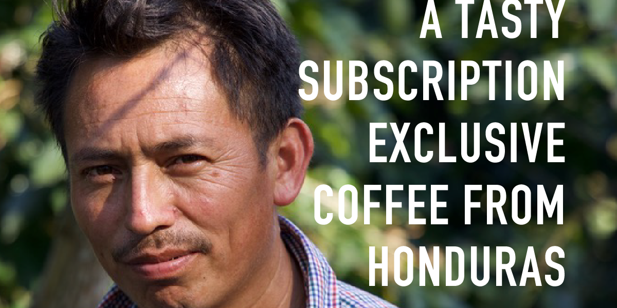 A Tasty Subscription Exclusive Coffee from Honduras