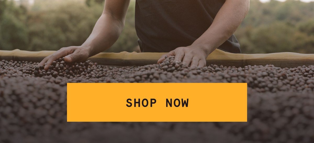 Ethiopia Guji Highland Natural