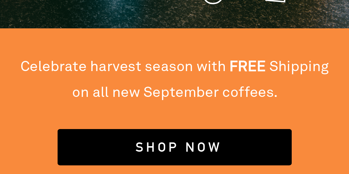 Celebrate harvest season with FREE Shipping on all new September coffees.