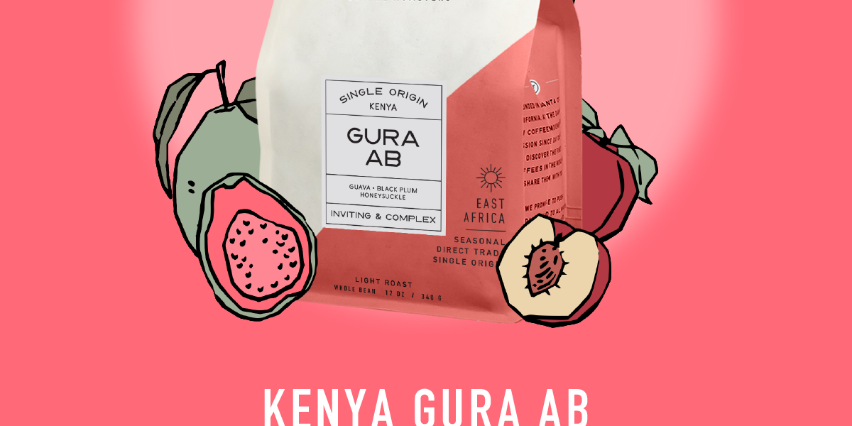 This inviting & complex cup is bursting with sweet notes of Guava and Black Plum that fade into a floral finish of Honeysuckle.