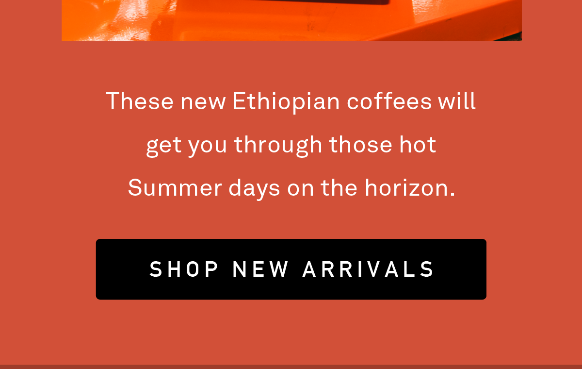 These new Ethiopian coffees will get you through those hot Summer days on the horizon.