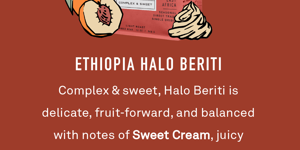 Complex & sweet, Halo Beriti is delicate, fruit-forward, and balanced with notes of Sweet Cream, juicy Apricot, and ripe Strawberry.