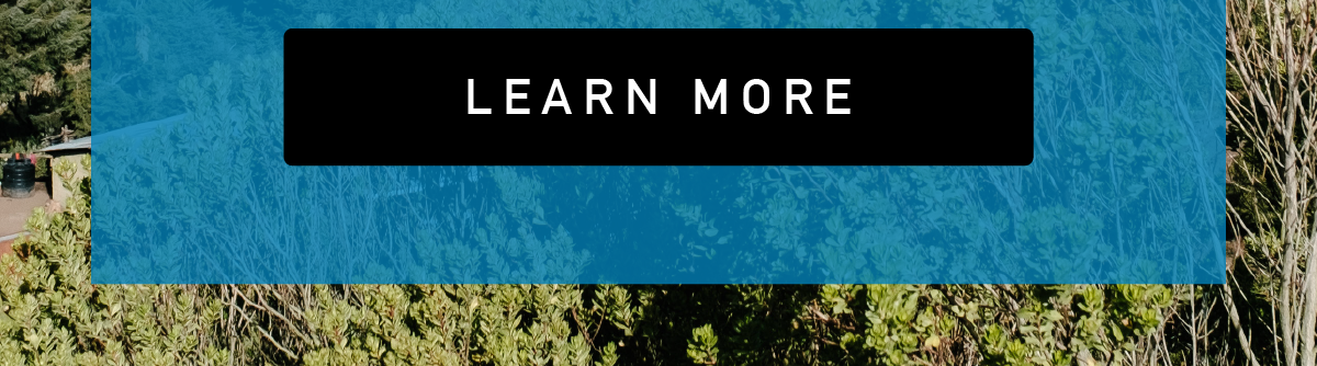 Learn more