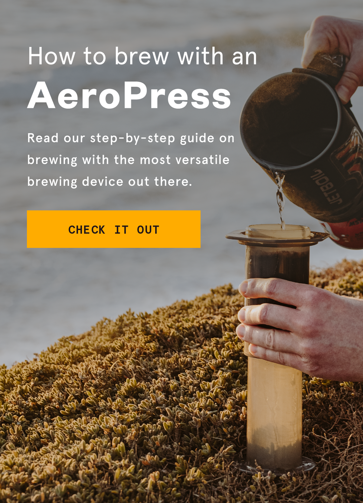 How to brew with an Aeropress