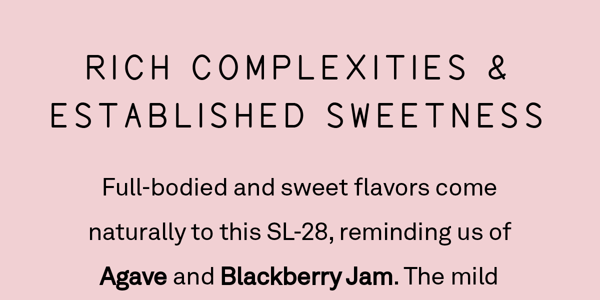 Rich complexities & established sweetness