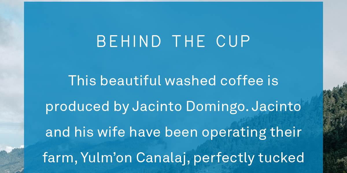 Behind the cup