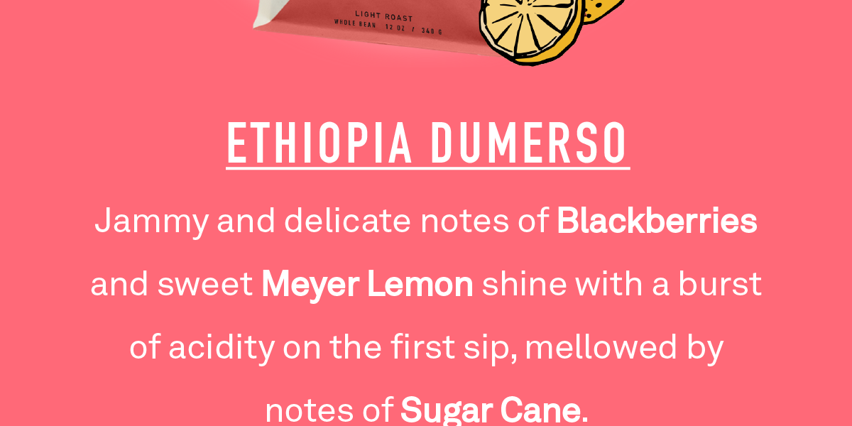 Jammy and delicate notes of Blackberries and sweet Meyer Lemon shine with a burst of acidity on the first sip, mellowed by notes of Sugar Cane.