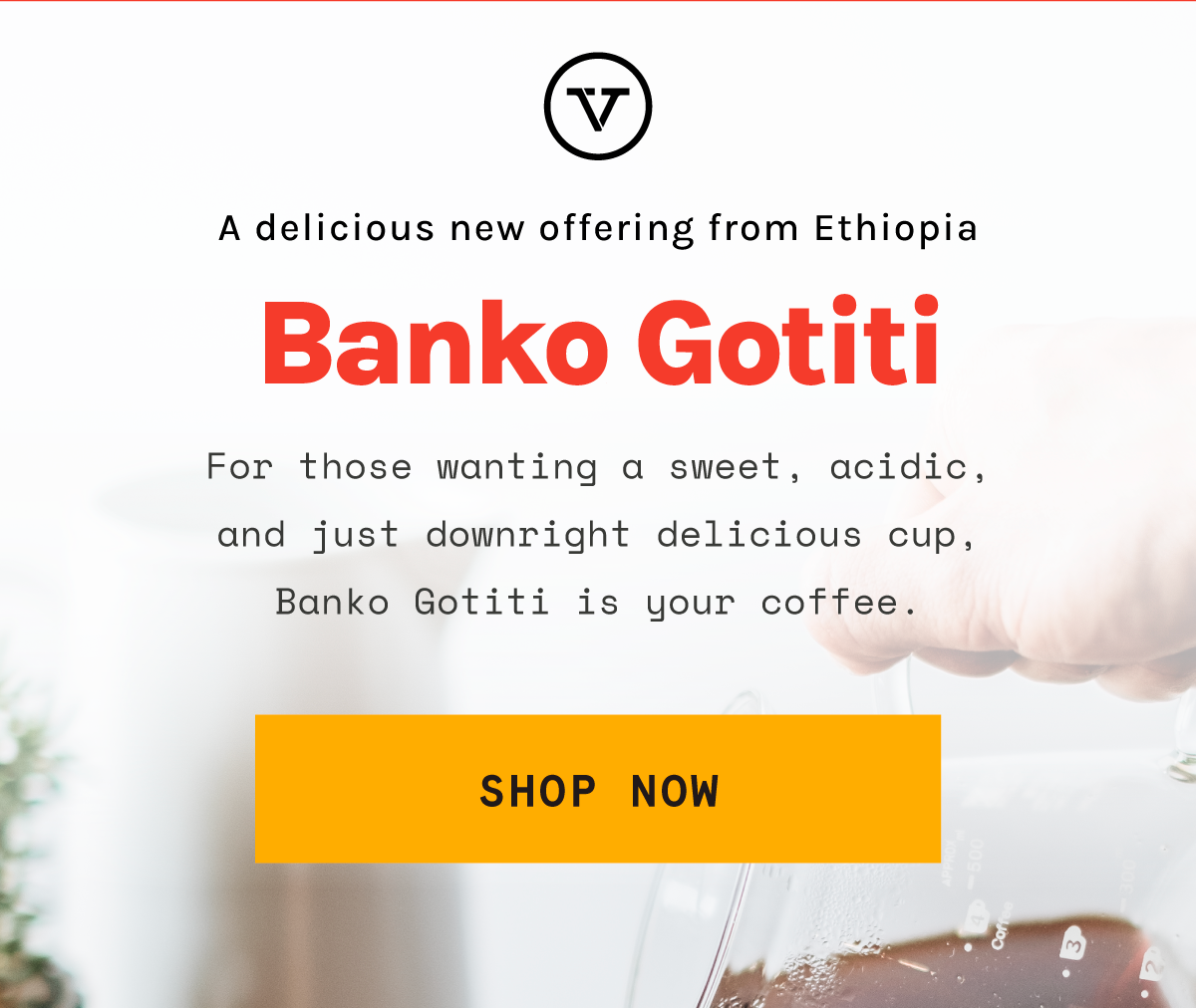 Ethiopia Banko Gotiti