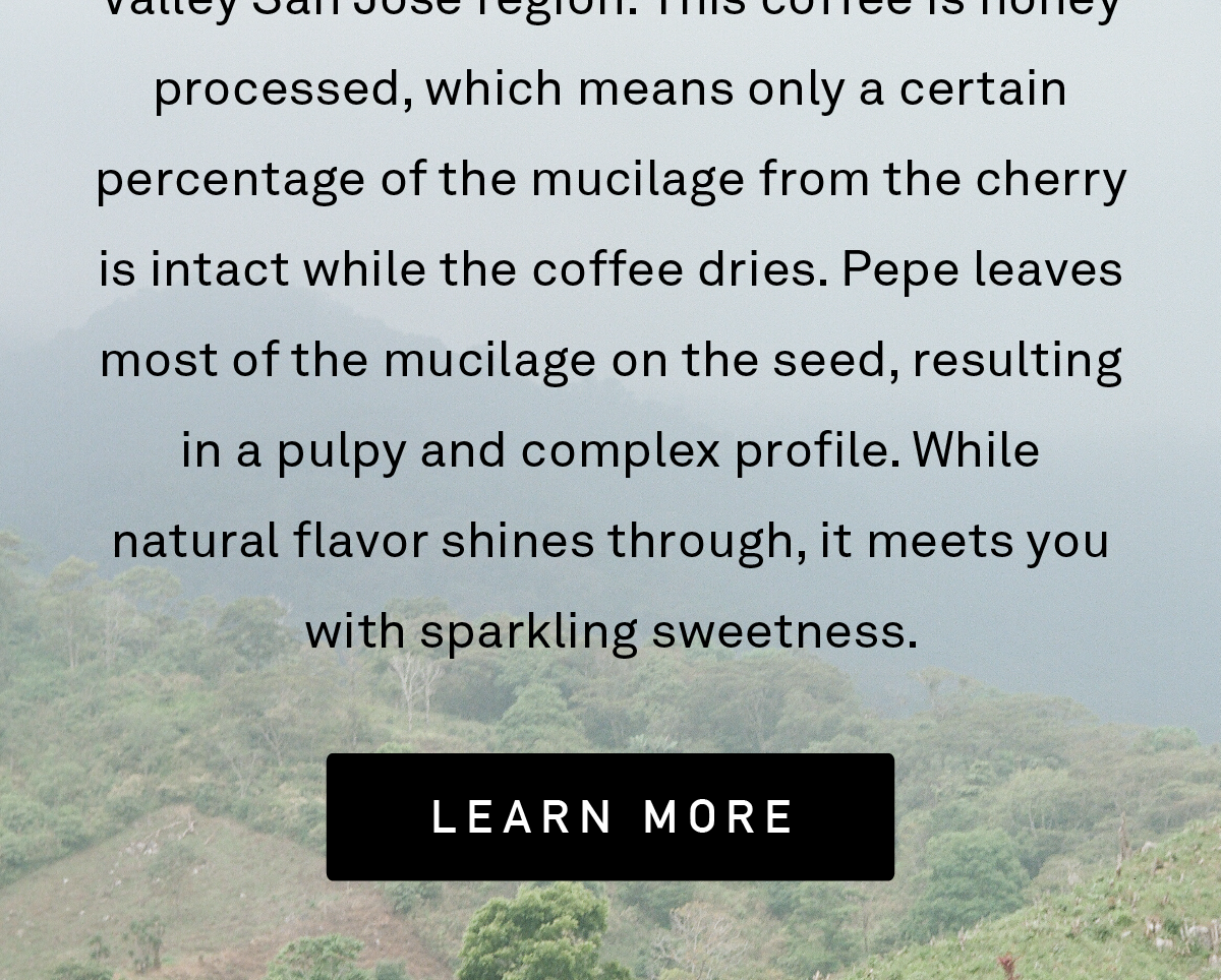 Don Pepe comes to us from the Central Valley San José region. This coffee is honey processed, which means only a certain percentage of the mucilage from the cherry is intact while the coffee dries. Pepe leaves most of the mucilage on the seed, resulting in a pulpy and complex profile. While natural flavor shines through, it meets you with sparkling sweetness.