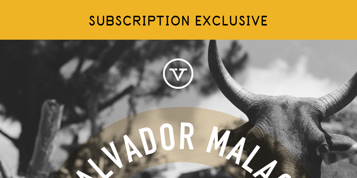 SUBSCRIPTION EXCLUSIVE