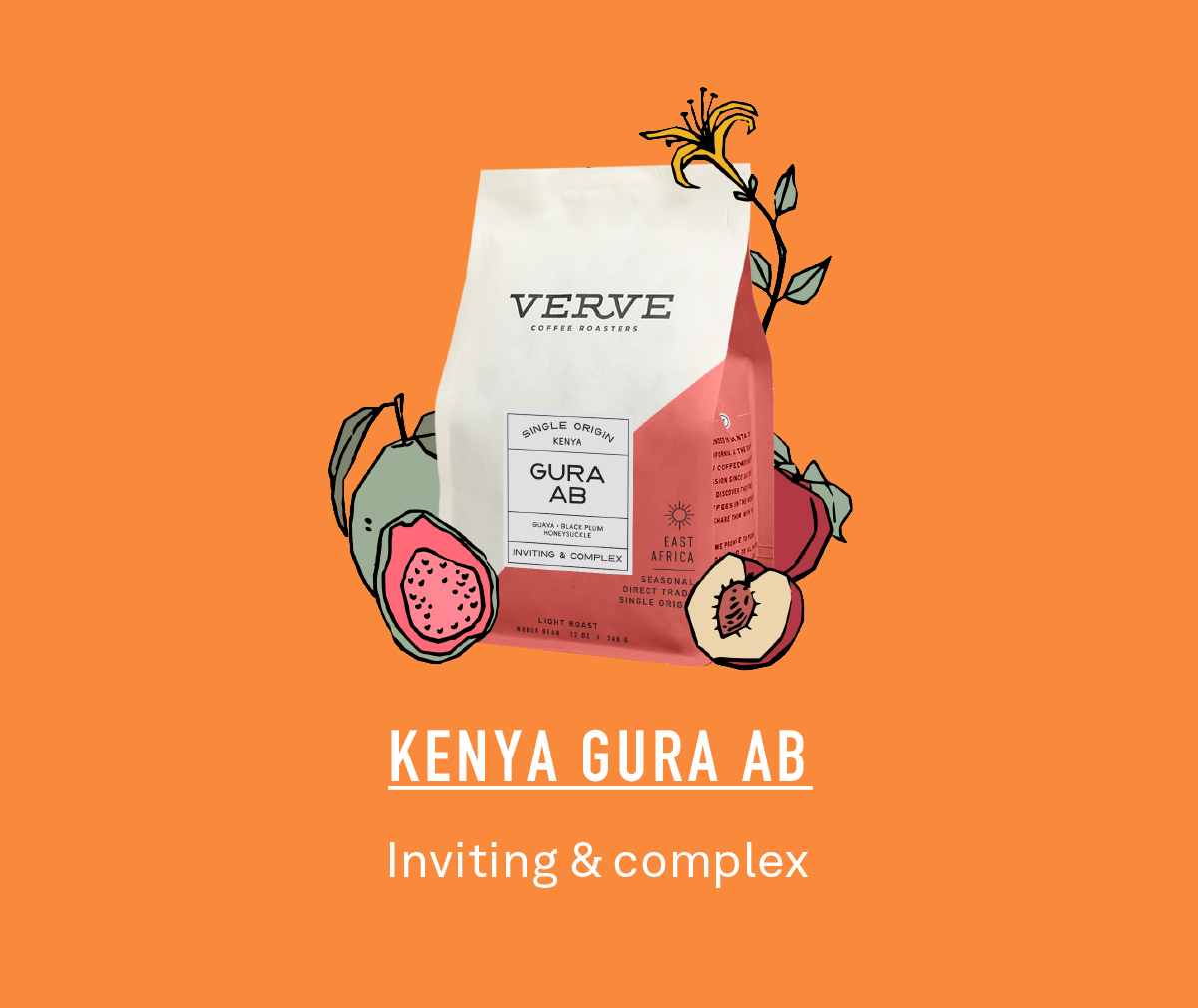 Kenya Gura AB
