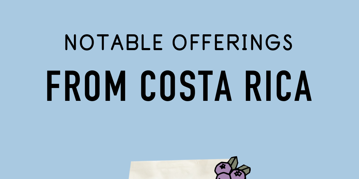 Notable Offerings from Costa Rica