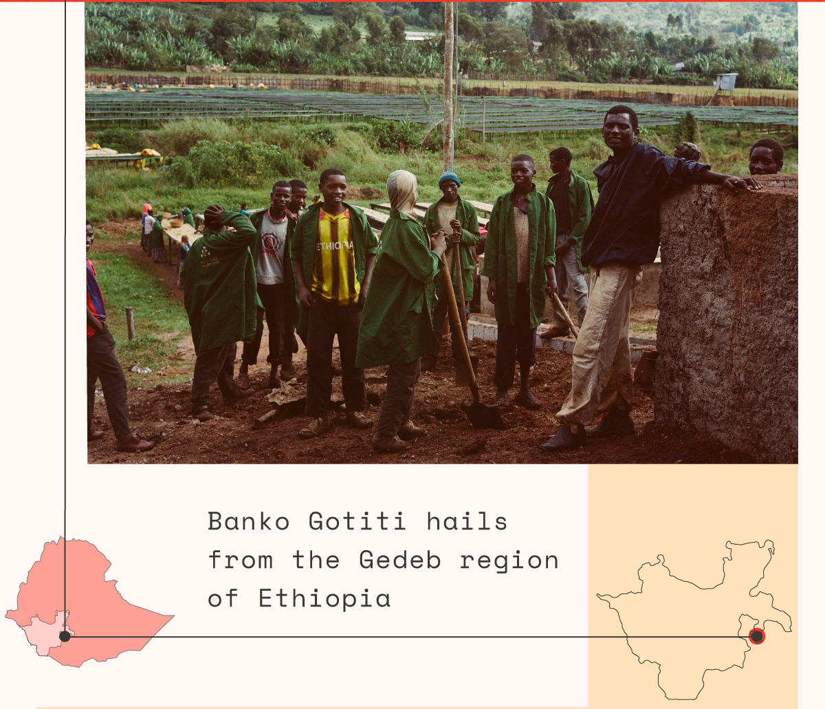 Ethiopia Banko Gotiti