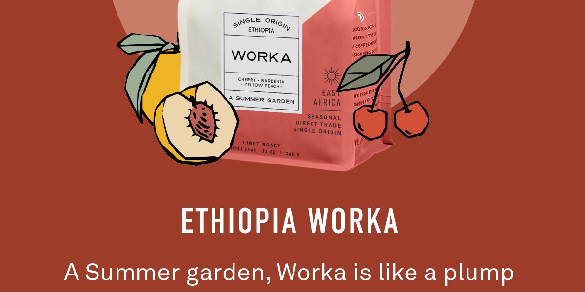 Ethiopia Worka