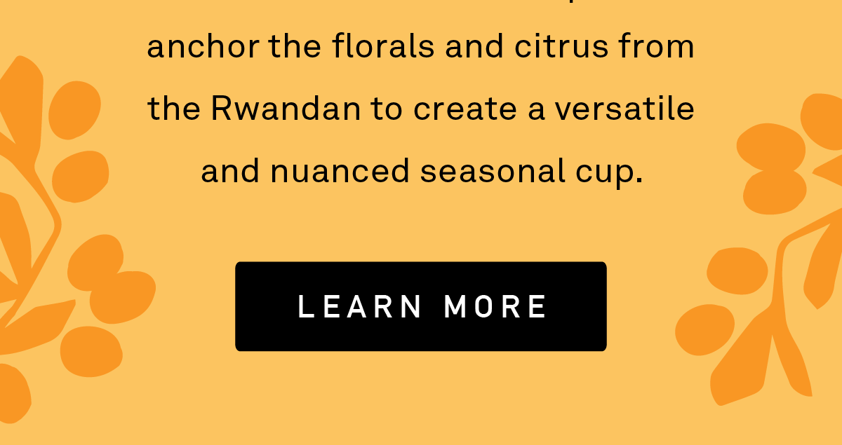 LEARN MORE