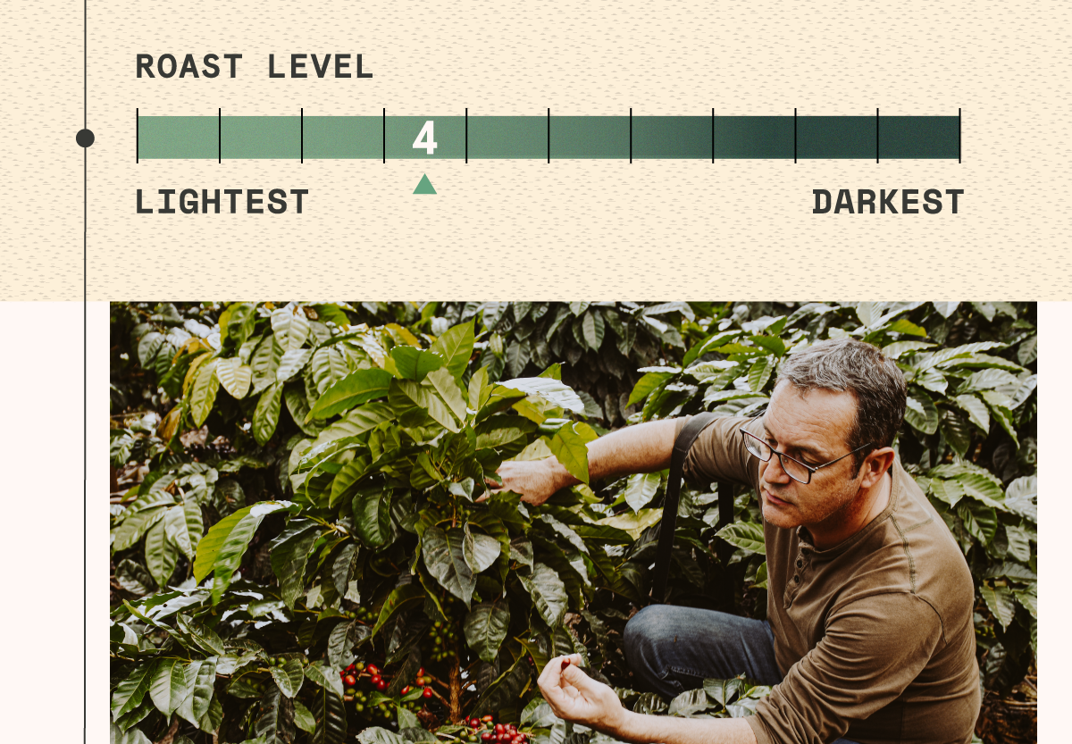 Las Tolas Java Farmlevel Reserve