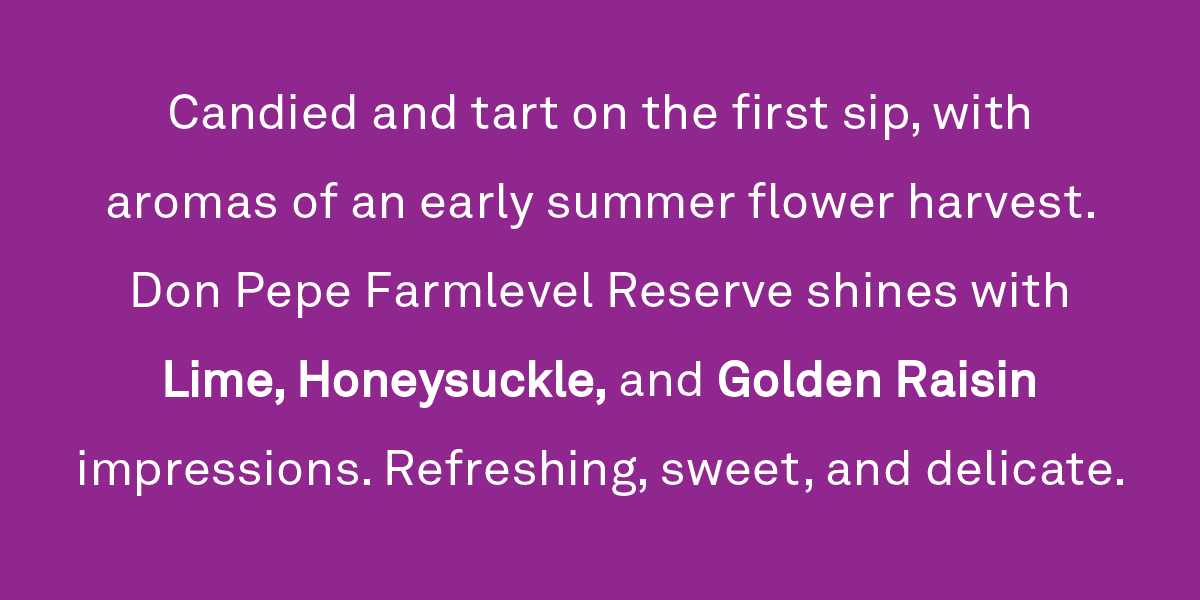 Candied and tart on the first sip, with aromas of an early summer flower harvest. Don Pepe Farmlevel Reserve shines with Lime, Honeysuckle, and Golden Raisin impressions. Refreshing, sweet, and delicate.