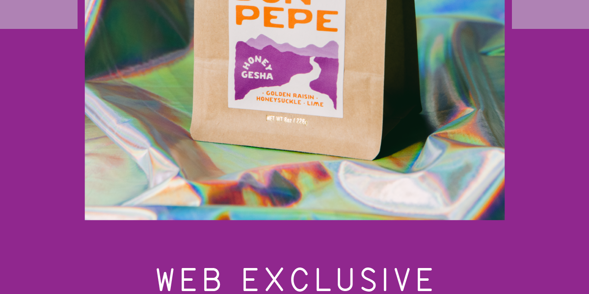 Web Exclusive