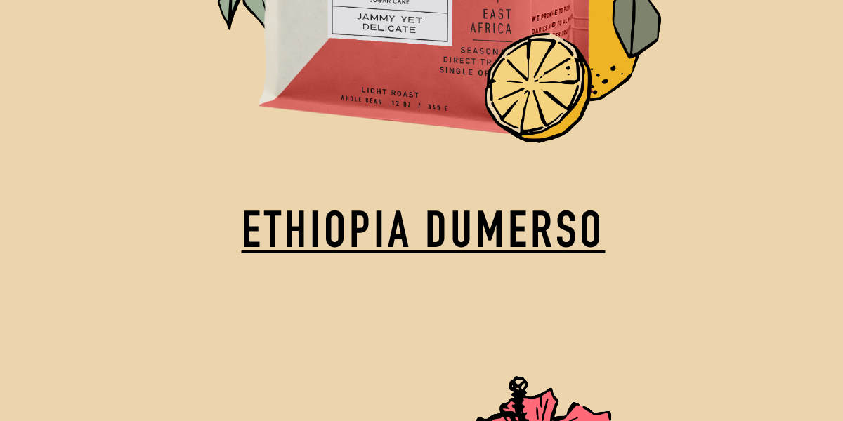 Honduras Los Andes & Ethiopia Dumerso