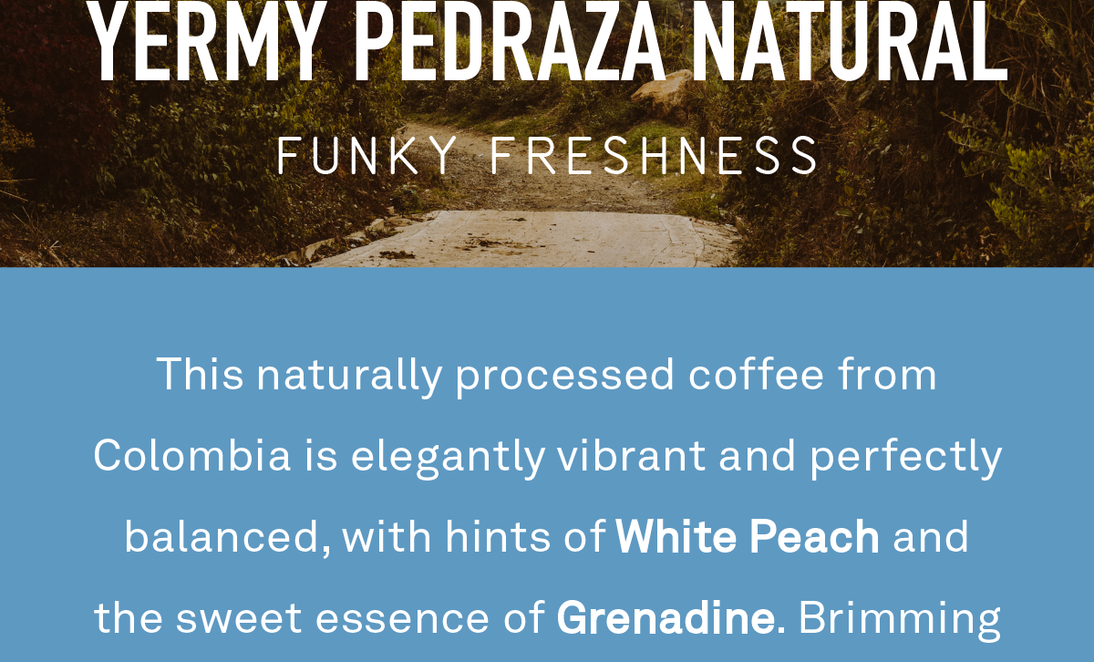 This naturally processed coffee from Colombia is elegantly vibrant and perfectly balanced, with hints of White Peach and the sweet essence of Grenadine. Brimming with impressions of Spun Sugar, we’re reminded of the nostalgic taste of cotton candy on a hot day.