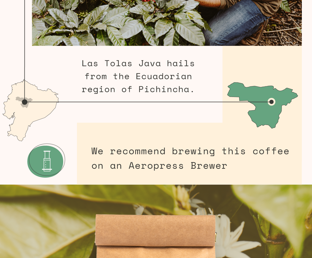 Las Tolas Java Farmlevel Reserve