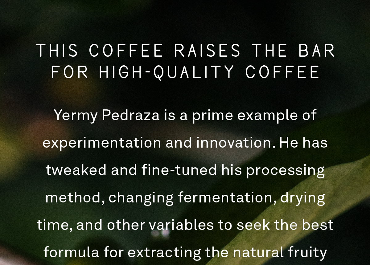 This coffee raises the bar for high-quality coffee