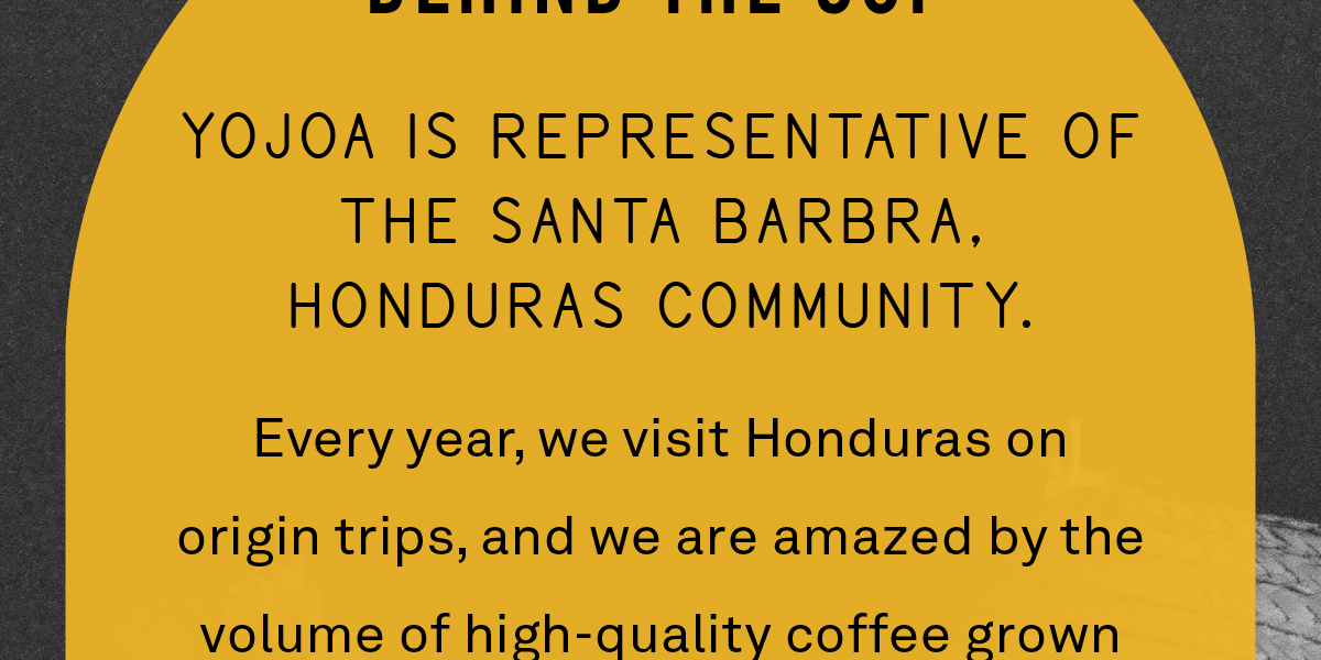 Behind the cup: Yojoa is representative of the Santa Barbra, Honduras community.