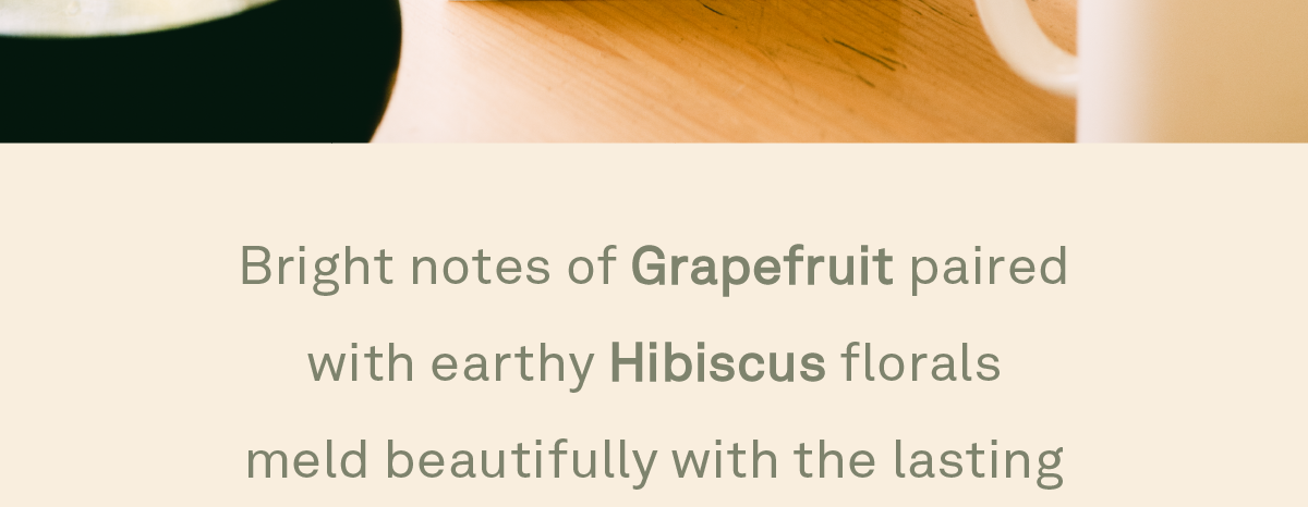 Bright notes of Grapefruit paired with earthy Hibiscus florals meld beautifully with the lasting sweetness of a refreshing Lemonade.