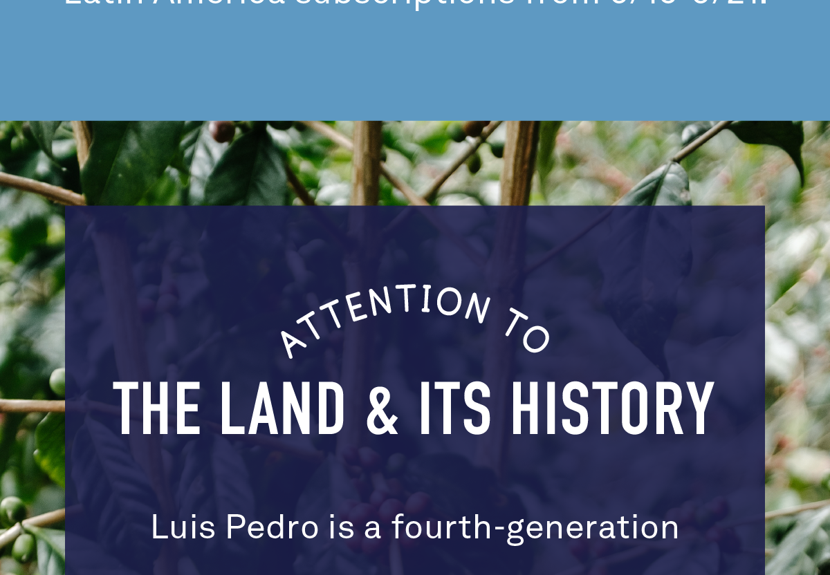 Only available in Single Origin and Latin America subscriptions from 9/15-8/21.