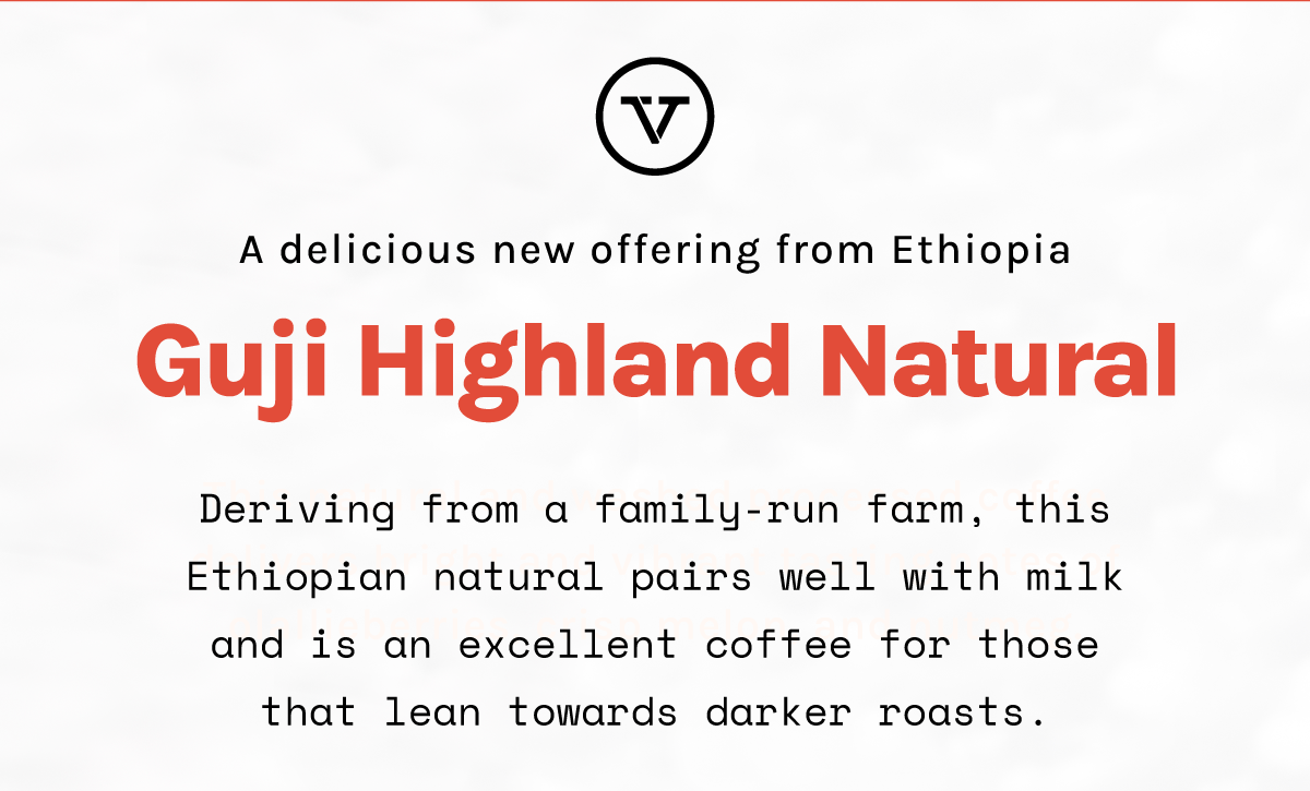 Ethiopia Guji Highland Natural