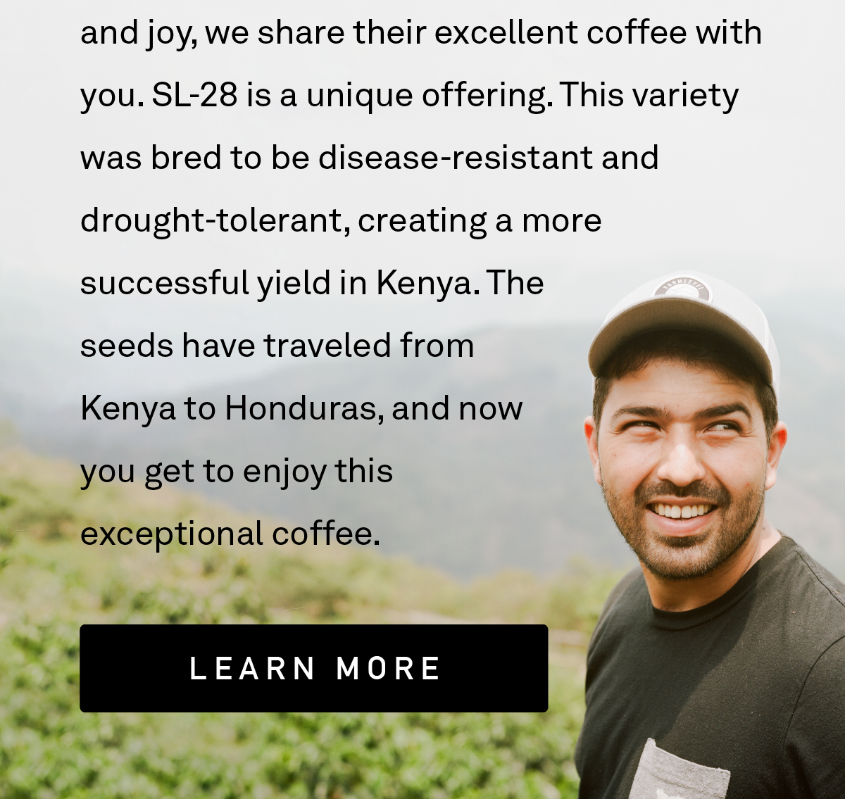 This coffee is produced by our dear friends, Arturo and Benjamín Paz. With gratitude and joy, we share their excellent coffee with you. The SL-28 variety is a unique offering. This variety was bred to be disease-resistant and drought-tolerant, creating a more successful yield in Kenya. The seeds have traveled from Kenya to Honduras, and now you get to enjoy this exceptional coffee.
