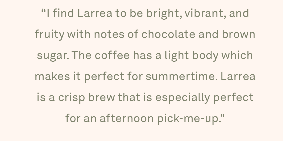 Cory Saruwatari - Barista at our Manhattan Beach cafe