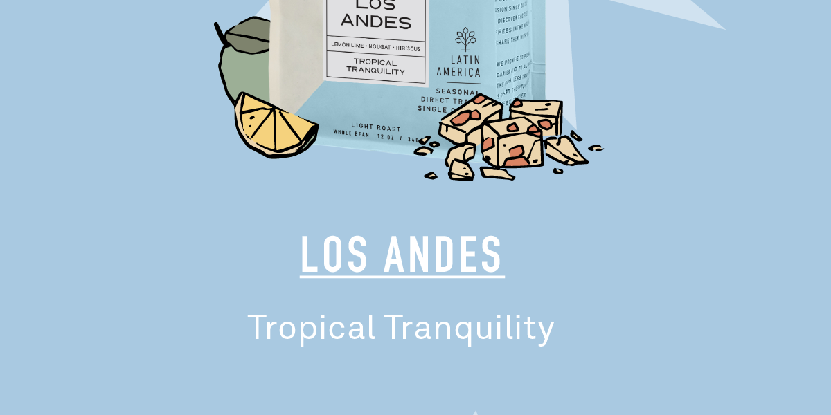 Tropical Tranquility