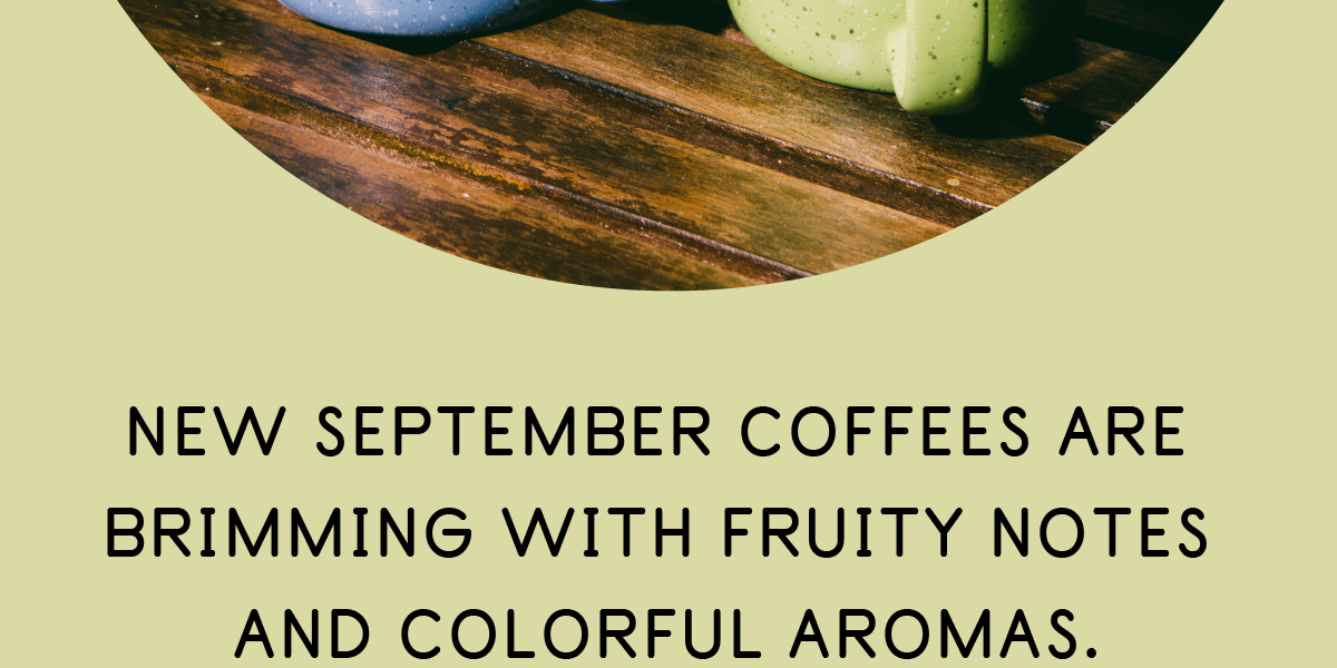 New September coffees are brimming with fruity notes and colorful aromas.