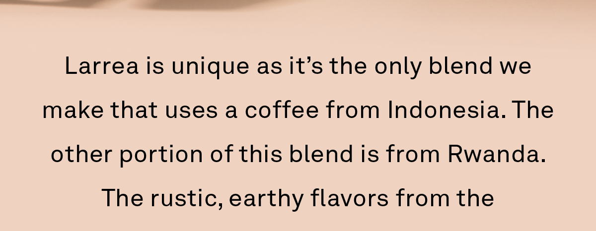 Larrea is unique as it’s the only blend we make that uses a coffee from Indonesia. The other portion of this blend is from Rwanda. The rustic, earthy flavors from the Indonesian component anchor the florals and citrus from the Rwandan to create a versatile and nuanced seasonal cup.