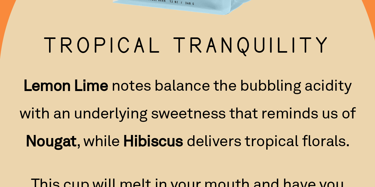 Lemon Lime notes balance the bubbling acidity with an underlying sweetness that reminds us of Nougat, while Hibiscus delivers tropical florals.