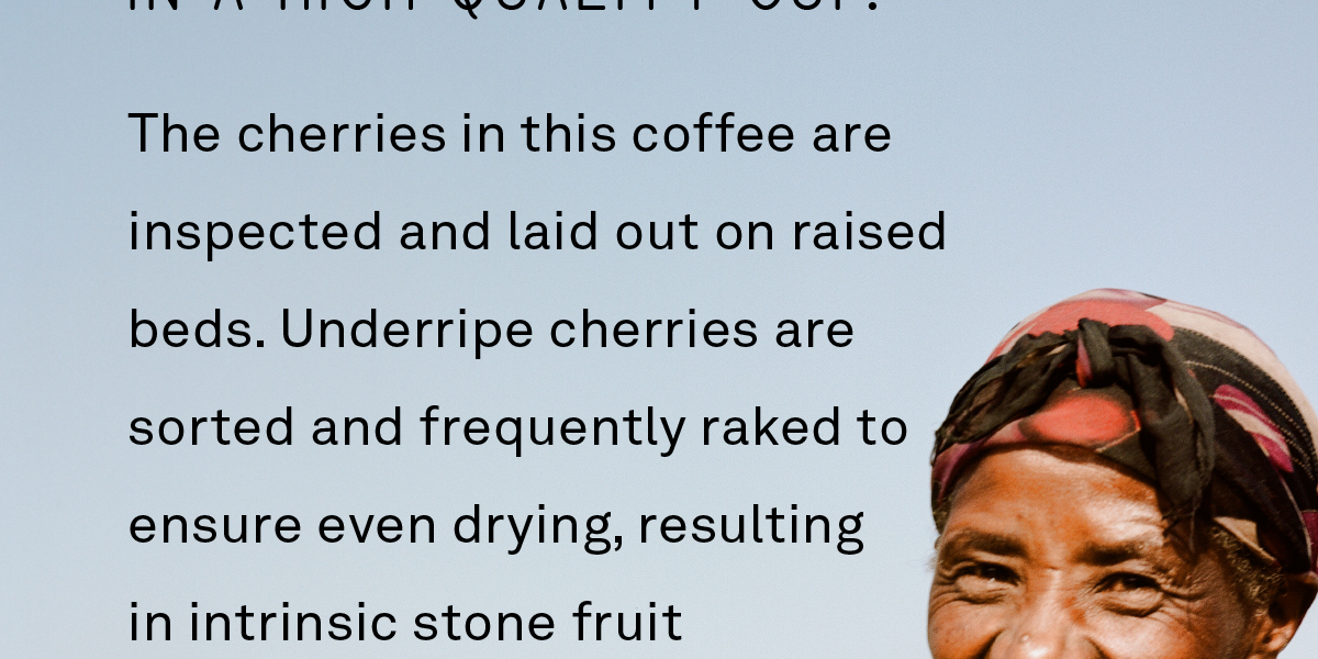 The cherries in this coffee are inspected and laid out on raised beds. Underripe cherries are sorted and frequently raked to ensure even drying, resulting in intrinsic stonefruit qualities of the cherry shining throughout every sip.