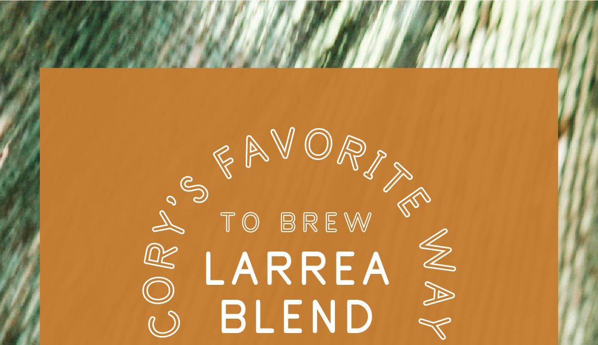 Cory’s favorite way to brew Larrea is on a Chemex