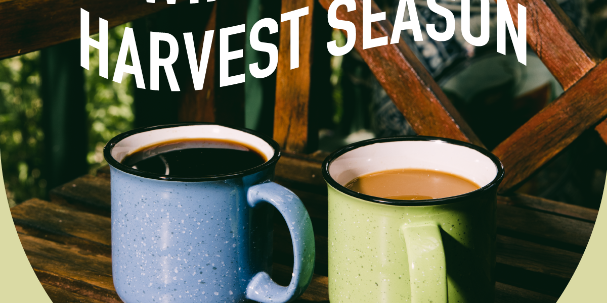 Swing into the harvest season